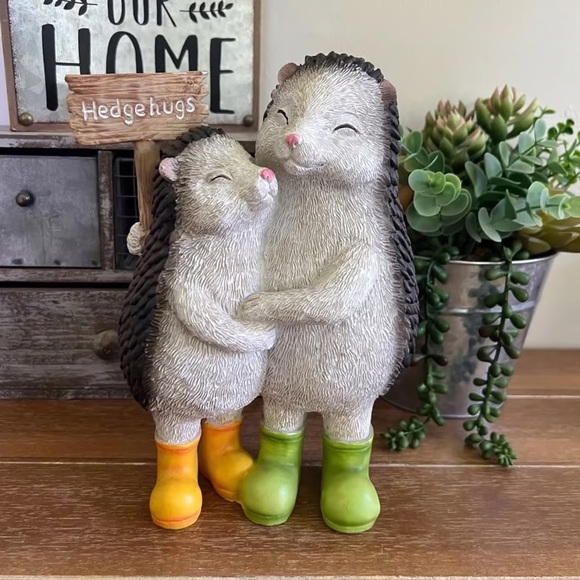 New Hedgehog wearing Rainboots Decor Super Cute - Picture 3 of 5